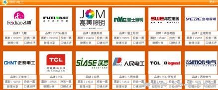 飞雕荣获网络票选最具影响力照明电工第一品牌——企业专访